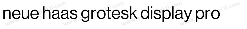neue haas grotesk display pro 45 Li字体转换